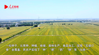 小麥連“鏈” 產業成“串”